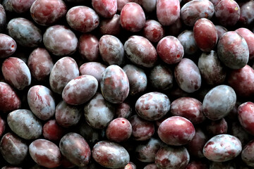 Fresh ripe plums in bunches