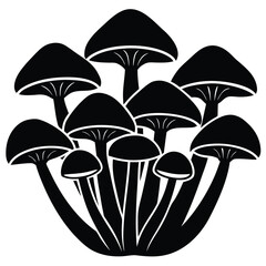 mushroom cluster on white