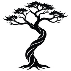 twisted tree  on white