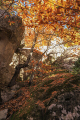 rando automnale à Annot, 04