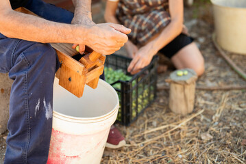 Man cracking olives with wooden machine, woman preparing olives in background, horizontal