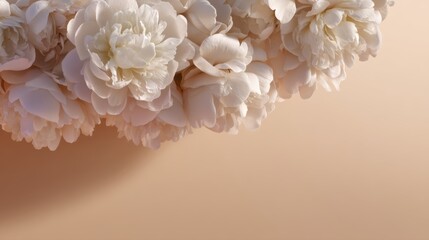 Elegant white peonies with copy space on a soft, beige background.