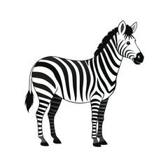 Zebra standing side view with black-white stripes vector illustration
