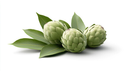 Obraz premium Sugar apple fruit with leaves on white background, realistic botanical illustration style, detailed textures