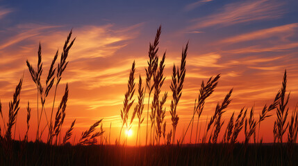 Golden sunset illuminates the silhouette of tall grass swaying gently in the breeze, creating a peaceful and serene natural landscape at dusk in the countryside.