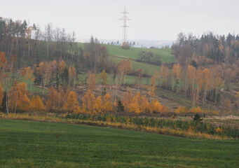 Abholzung und Aufforstung