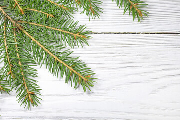 Fir branches on a light background. Branches of the Christmas tree.
