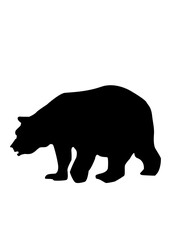 silhouette of a bear
