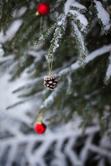 Snow covered fir branches with Christmas decorations on winter outdoor