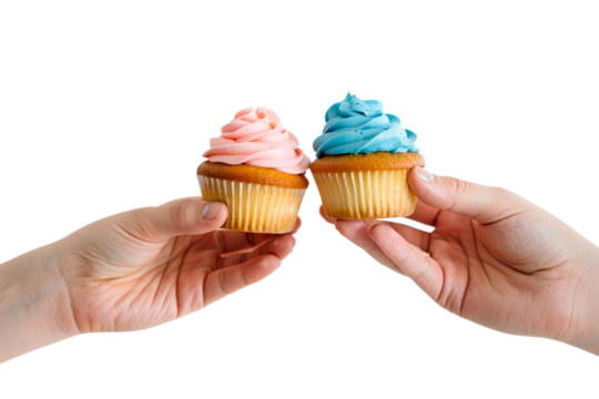 Two pairs of hands holding pink and blue frosted cupcakes for gender reveal party, celebrating the announcement of baby boy or girl