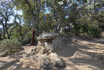 Obraz premium Dolmen