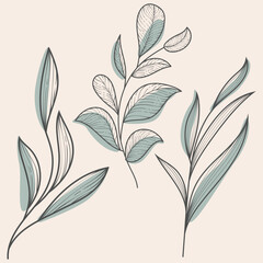 Elegant Hand Drawn Botanical Leaf Branches Vector Line Art