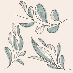Elegant Hand Drawn Botanical Leaf Branches Vector Line Art