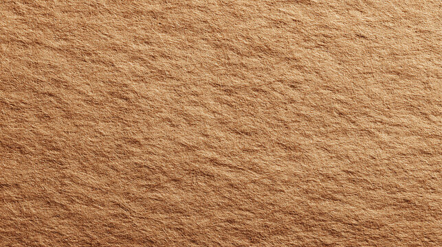 A detailed shot of a textured, sandy-colored sandstone