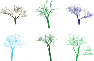 Colorful Bare Tree Silhouettes on White Background Botanical Illustration Set