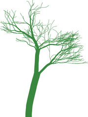 Collection of Stylized Trees with Varying Colors and Branch Structures Design