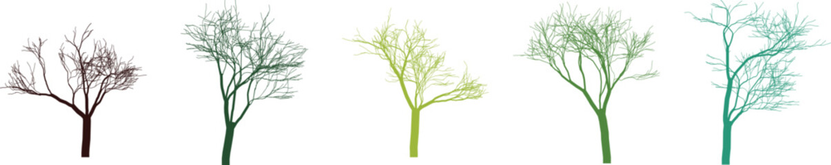 Colorful bare tree silhouettes in a row against a white background