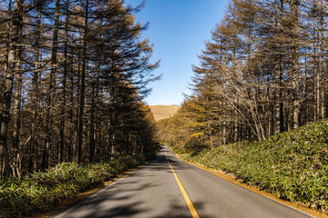 Obraz premium 霧ヶ峰から八島湿原へのビーナスライン