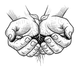 Hands Holding Young Plant in Vintage Engraving Style. Black and White Vector Illustration for Sustainability Concept.