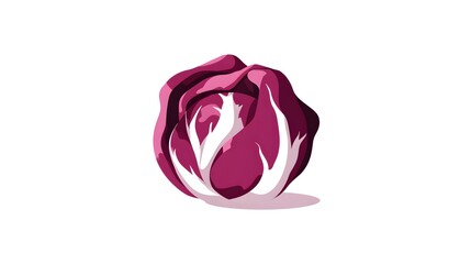 Elegant Minimal 2D Vector Graphic of Radicchio Displayed as a Flat Icon on a Plain White Backdrop, Highlighting Clean Lines and Artistic Simplicity