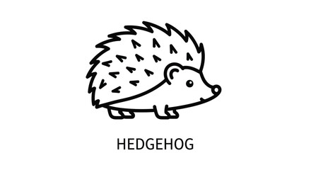 Simple line drawing of a cute hedgehog with visible spines and face