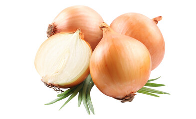 Fresh organic onions on a white background