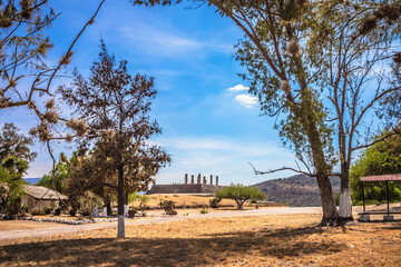 Fototapete bei efototapeten.de bestellen   