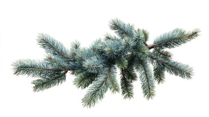 festive christmas tree branch isolated on white holiday decoration winter wonderland christmas decor