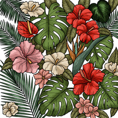 Tropical Hibiscus Flowers and Monstera Leaves Floral Arrangement - Black and White Line Art Coloring Page and Vibrant Colored Vector Illustration