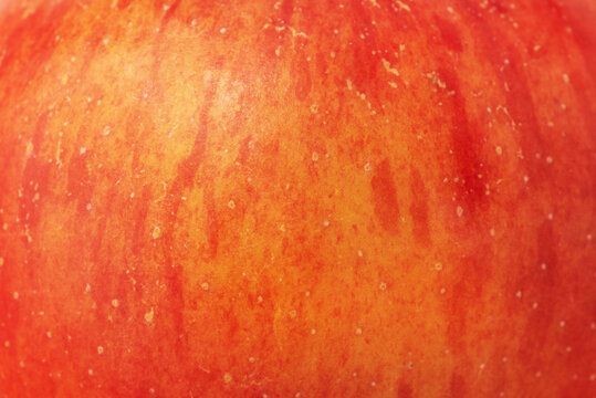 Texture of red apple with yellow color as background macro photo.