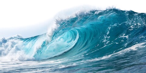 Large wave in the ocean