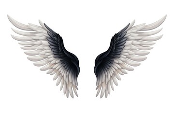 Fototapeta premium Flying white bird wing.