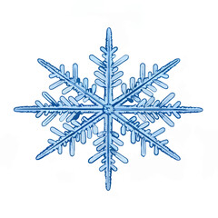 Detailed Macro Photograph of Blue Snowflake

