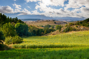 Palencia Mountain as seen from Gama, Aguilar de campoo, palencia, spain