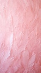Fototapeta premium Feather mulberry paper texture.