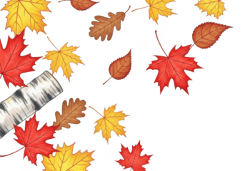 Scattered autumn leaves in red, yellow, and brown, with a birch bark element, isolated on transparent background