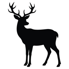 A deer of silhouette 