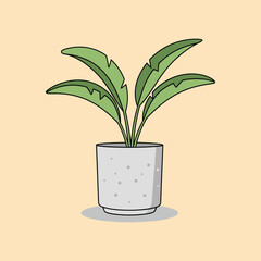 A colorful Indoor Decorative banana Plant in Pot vector art illustration