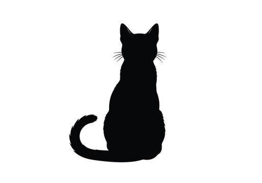 A sleek black cat silhouette sits gracefully with tail curled