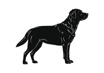 A black silhouette of a labrador retriever standing in profile