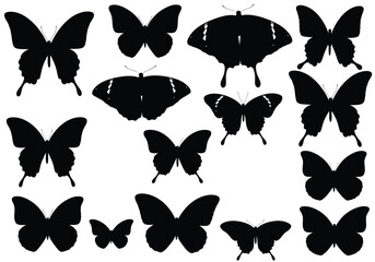 Collection of black butterfly silhouettes against a plain white background