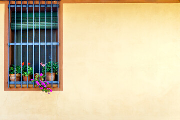 Luxurious house with modern design, large windows, potted plant, and vibrant flowers. Copy space