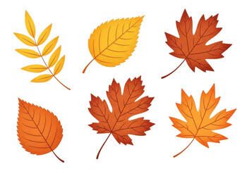 Fototapeta premium Collection of six different autumn leaves in various shapes and colors, including maple and rowan, isolated on transparent background