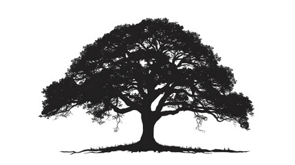 Vector illustration of a black tree silhouette with roots and leafless branches, suitable for nature and forest design elements