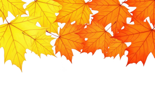 A vibrant collection of maple leaves in shades of yellow and orange, isolated on a transparent background, signifying autumn