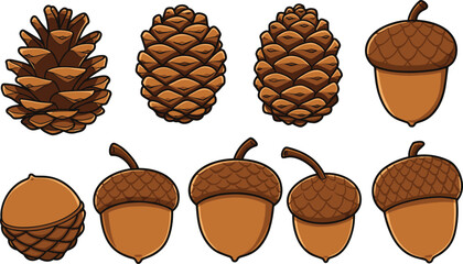 Pine cones, acorns, botanical illustration, forest seeds, nature drawing, autumn elements, woodland sketch, educational art, seasonal decor, tree nuts © Its Morsed here