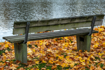 Empty park bench during autumn by water's edge