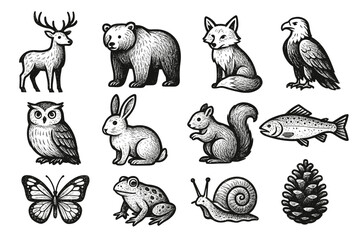 Obraz premium Icons butterfly mountain fox pinecone snail bear vector frog squirrel wildlife icon