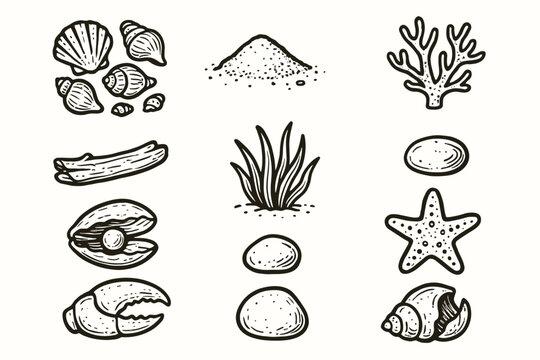 Vector shell pile pearl icon seashell sand claw stone pebble collection