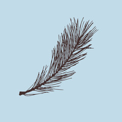 Monochrome illustration of pine branch in woodcut  style. Linocut textured in simple silhouette style. Rustic, vintage look. Perfect for winter designs, holiday cards, nature prints, and botanical